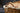 cottage-beams.com