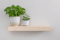 Contemporary Style White Ash Floating Shelf