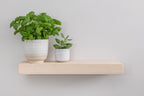 Contemporary Clean lined Solid Ash Floating Shelf