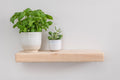 Country Cottage Style White Ash Floating Shelf