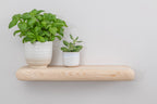 Farmhouse Style White Ash Floating Shelf
