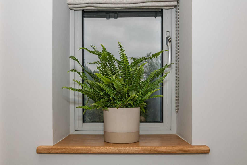 Oak Window Sills - 32mm Thick