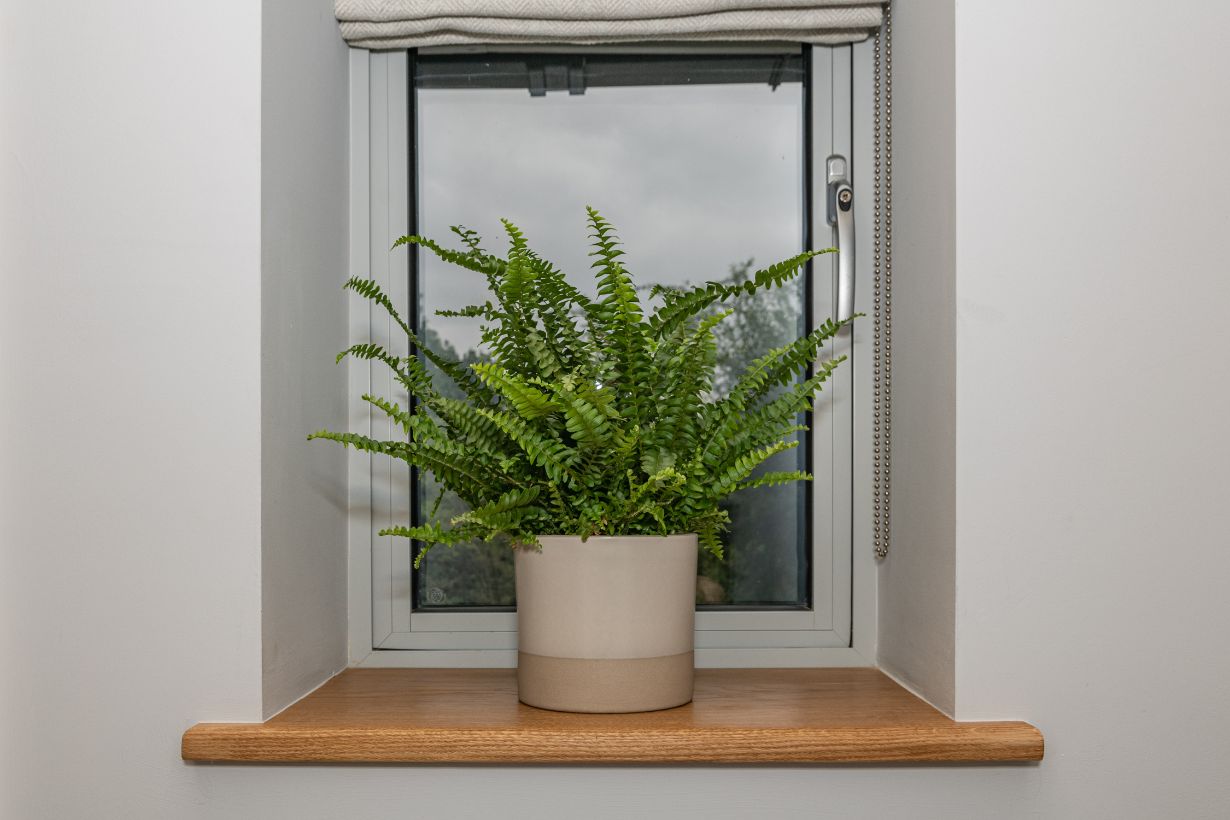 Oak Window Sills - 32mm Thick
