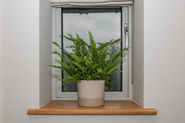 Oak Window Sills - 32mm Thick
