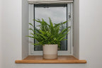 Oak Window Sills - Bespoke