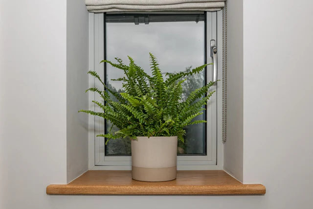 Oak Window Sills - Bespoke