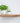Contemporary Floating Shelf ┃15cm depth