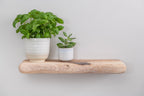 Rustic Style White Ash Floating Shelf