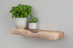 Rustic Style White Ash Floating Shelf