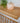 Thin Country Cottage – Natural Oak Shelves For Plasterboard Walls