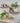 Thin Country Cottage – White Oak Shelves