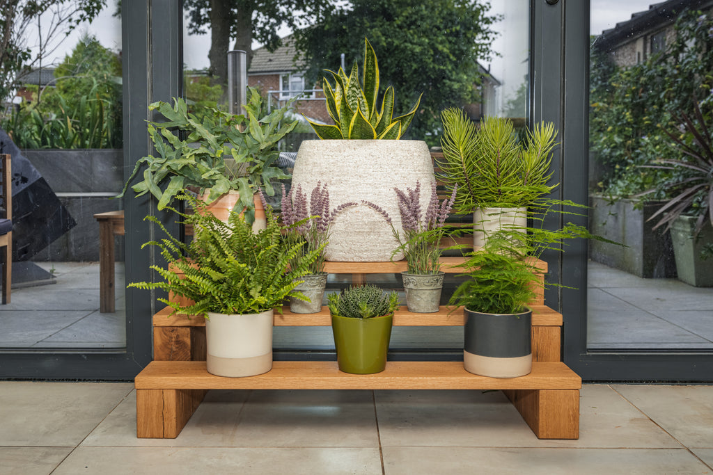 Oak Plant Stand