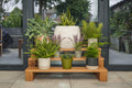 Oak Plant Stand