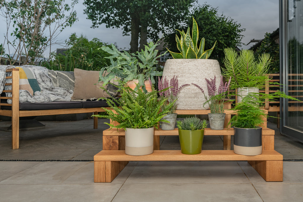 Oak Plant Stand
