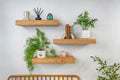 Thick Contemporary Clean Lined – Natural Oak Floating Shelves
